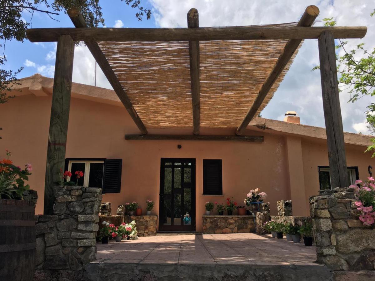 Azienda Agrituristica S'Argalasi - B&B - Affittacamere Loc S'Argalasi Austis Exteriör bild