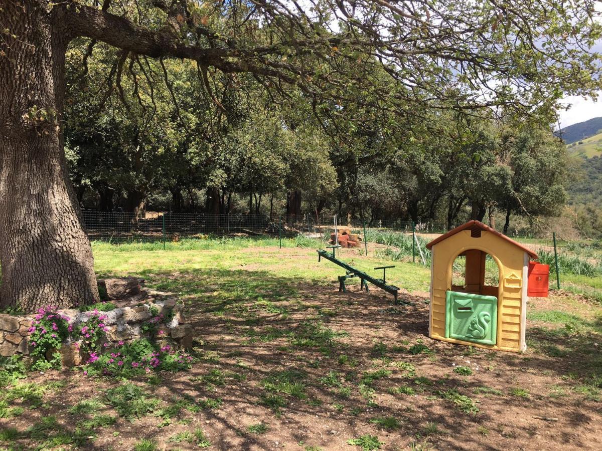 Azienda Agrituristica S'Argalasi - B&B - Affittacamere Loc S'Argalasi Austis Exteriör bild