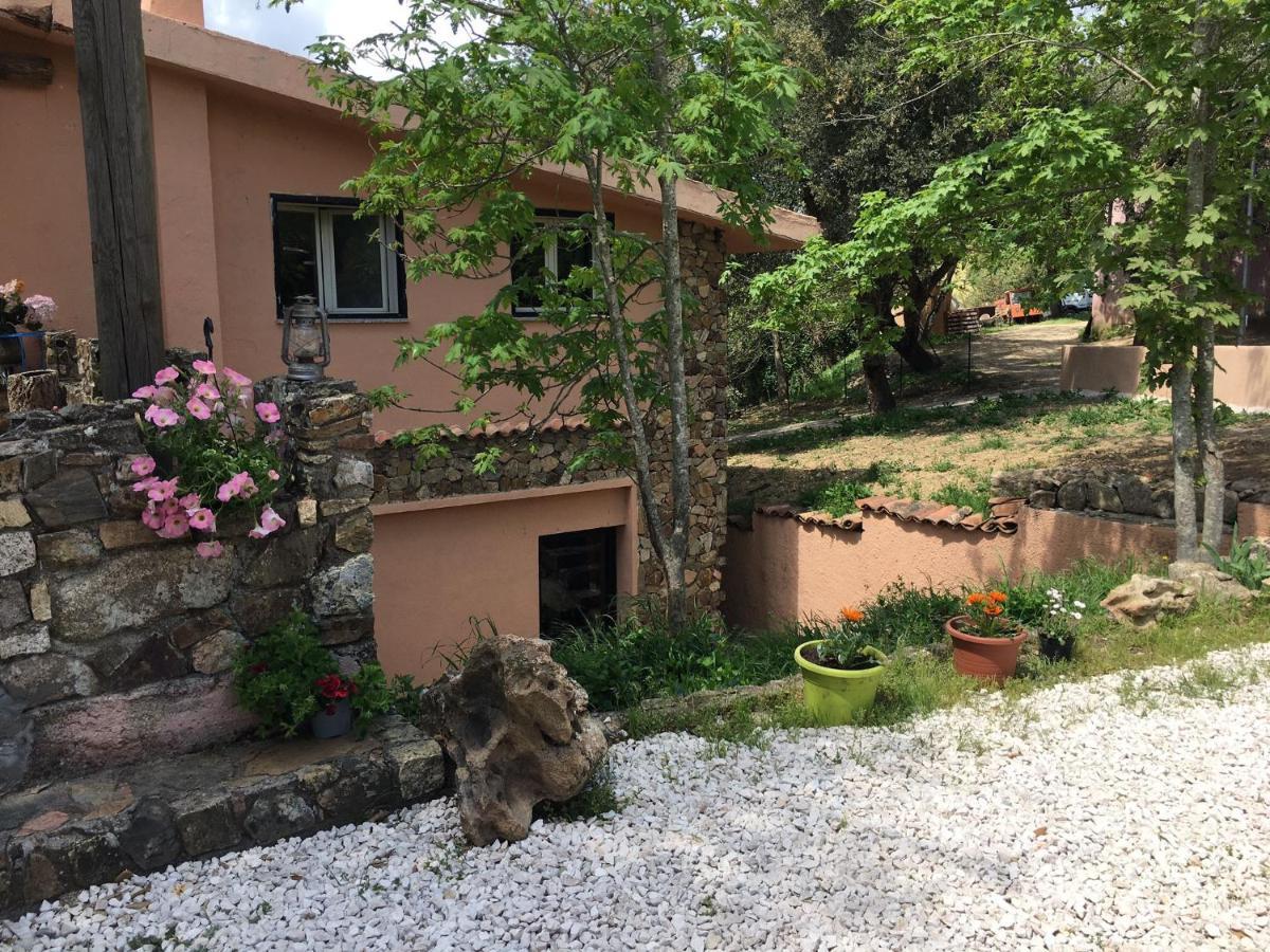 Azienda Agrituristica S'Argalasi - B&B - Affittacamere Loc S'Argalasi Austis Exteriör bild